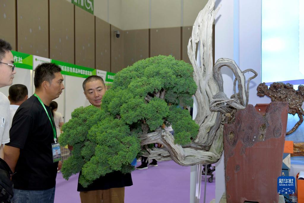 汇丰在线游戏